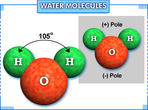 one molecule of water has two hydrogen atoms covalently bonded to a single 